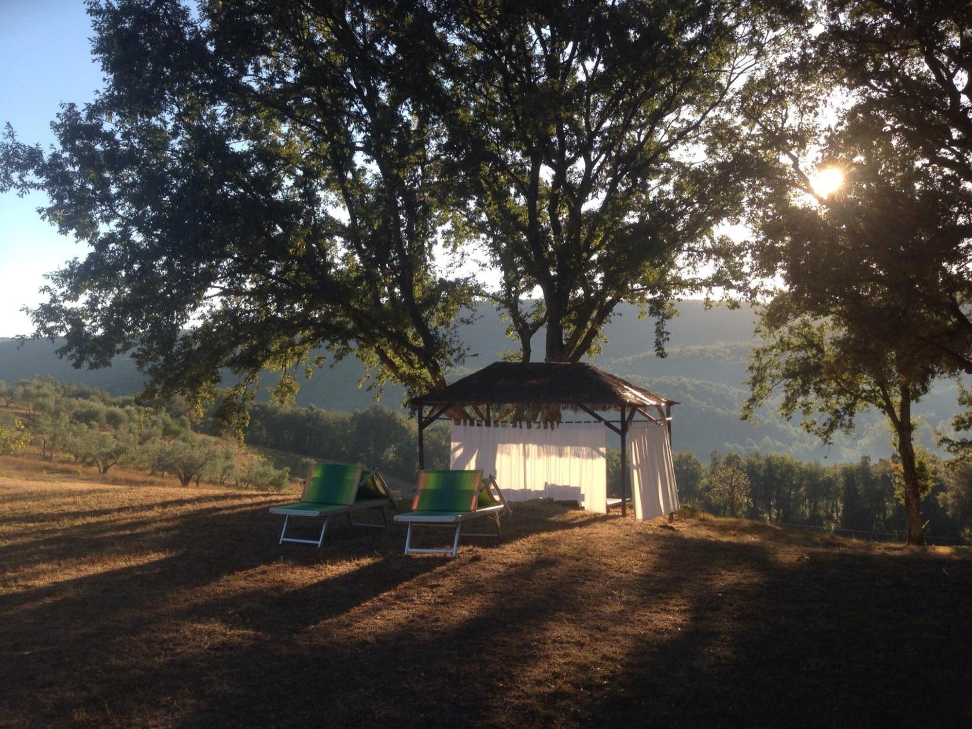 Agriturismo Colle Donatucci Konuk evi Castagneto Carducci Dış mekan fotoğraf