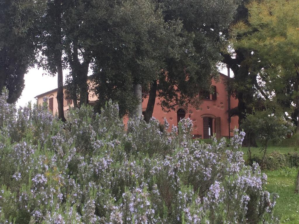 Agriturismo Colle Donatucci Konuk evi Castagneto Carducci Dış mekan fotoğraf