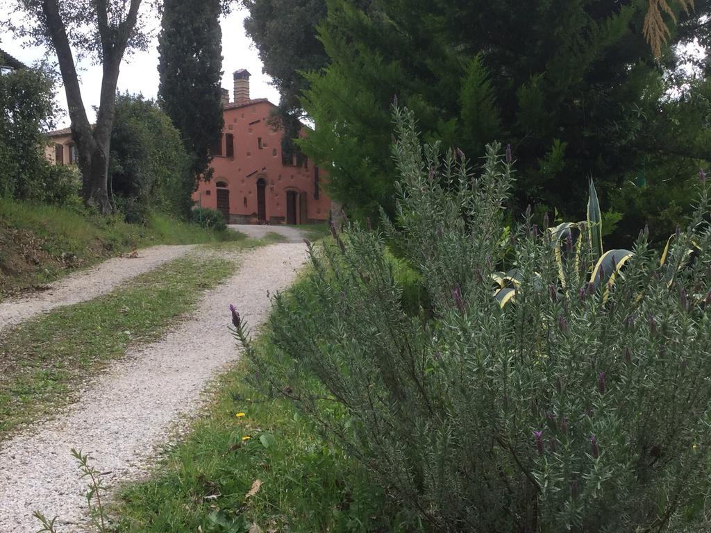 Agriturismo Colle Donatucci Konuk evi Castagneto Carducci Dış mekan fotoğraf