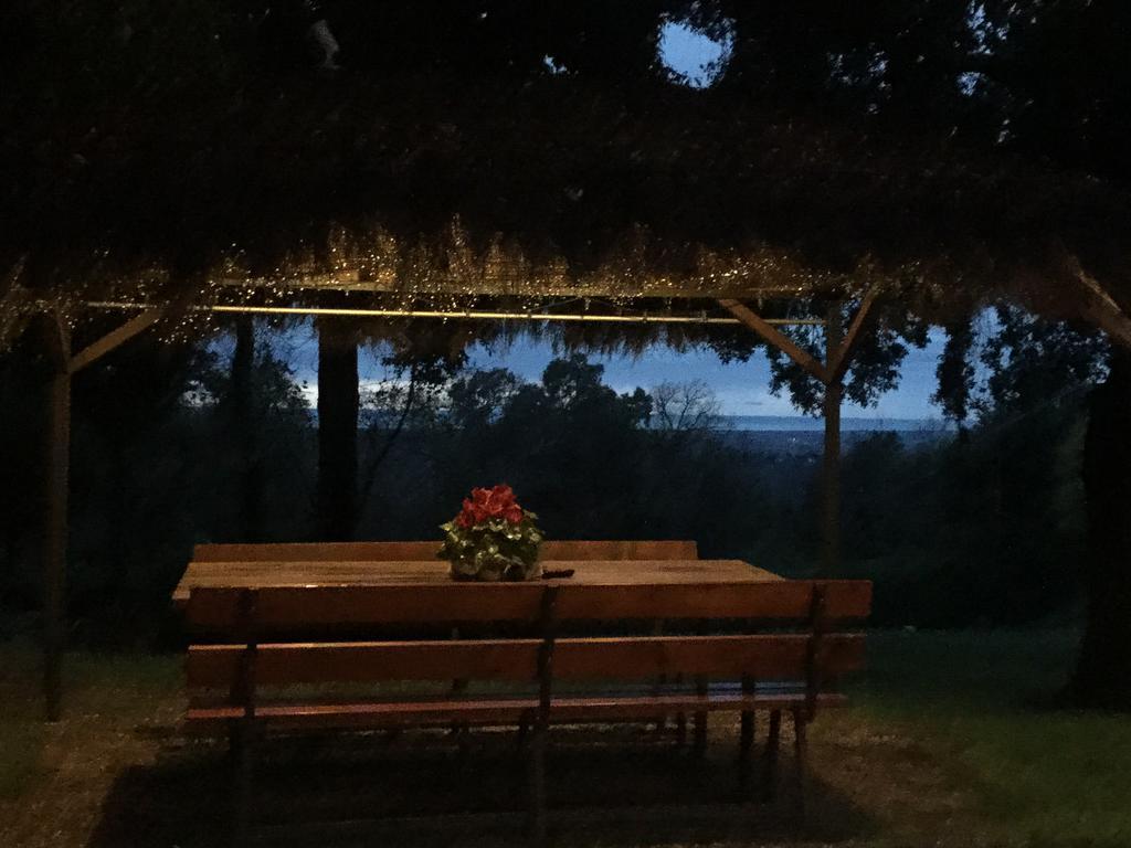 Agriturismo Colle Donatucci Konuk evi Castagneto Carducci Dış mekan fotoğraf